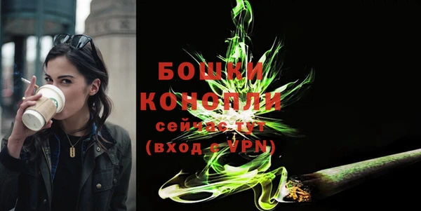 эйфоретик Каменногорск