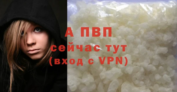 эйфоретик Каменногорск