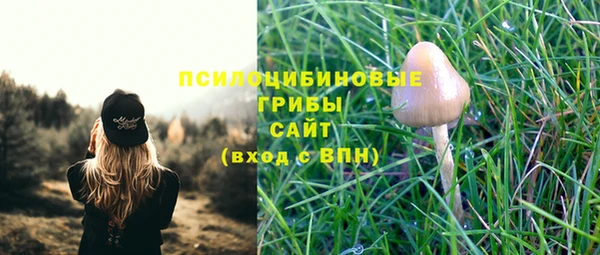 эйфоретик Каменногорск