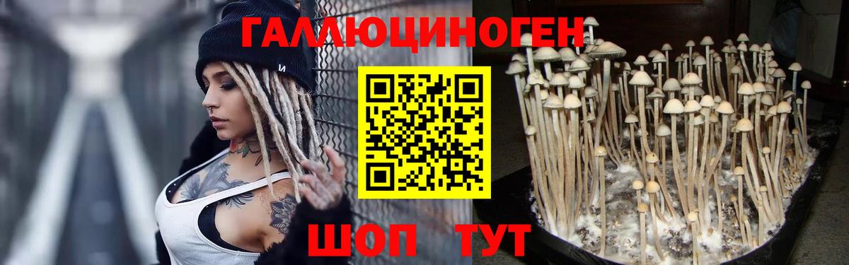 Галлюциногенные грибы MAGIC MUSHROOMS  Псилоцибиновые грибы GOLDEN TEACHER  Вход с VPN  Тверь 