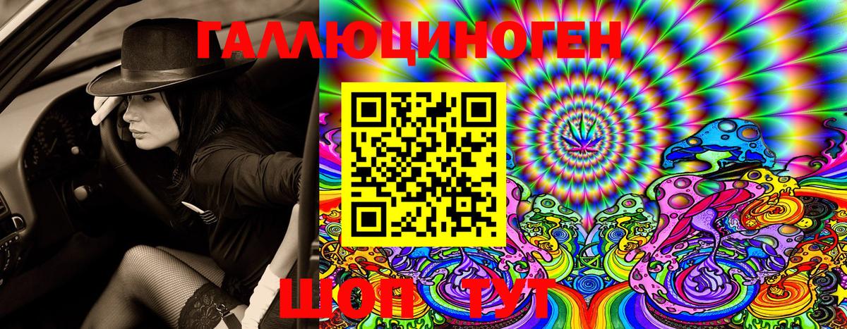 Галлюциногенные грибы Psilocybine cubensis Тверь